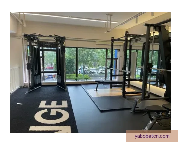 亚博体育平台体验评测与用户口碑全面解析指南